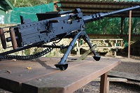 Browning 50 cal Paintball Gun