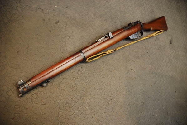 deactivated smle 303