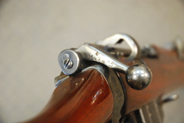 deactivated smle 303