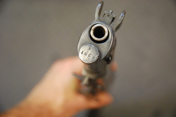 deactivated smle 303
