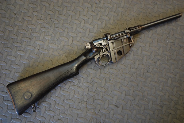 deactivated smle skeleton