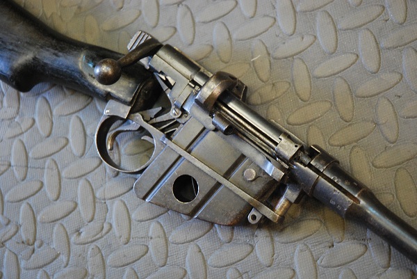 deactivated smle skeleton