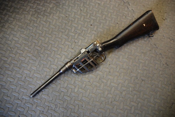 deactivated smle skeleton