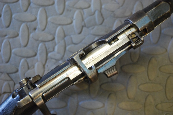 deactivated smle skeleton